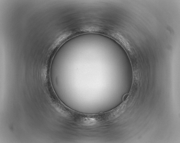 X0000116290159200911301426