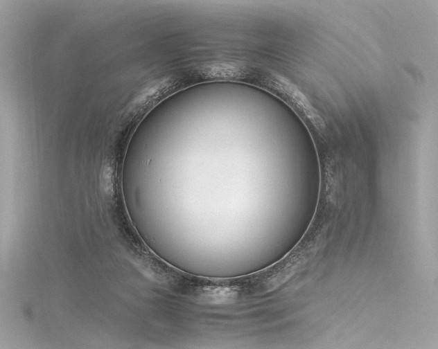 X0000116290161200911301426