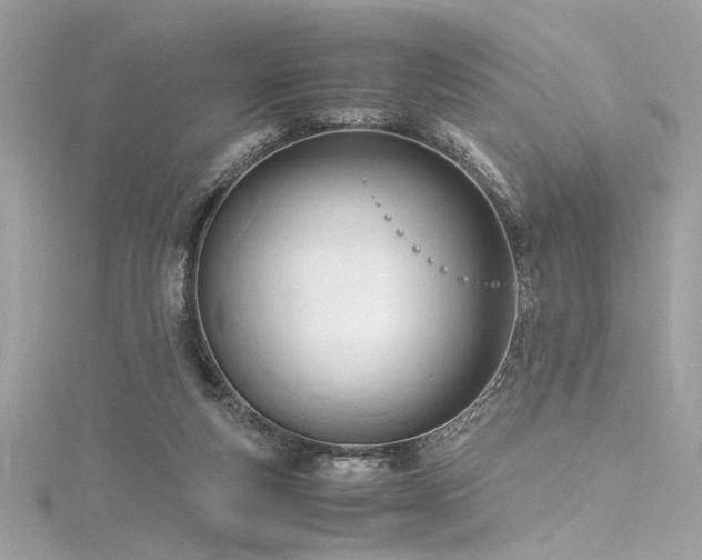 X0000116290163200911301426