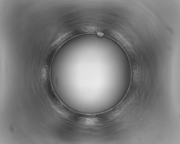 X0000116290165200911301426