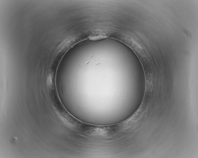 X0000116290166200911301426