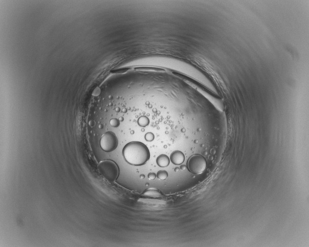 X0000116290167200911301426