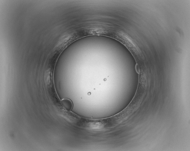 X0000116290169200911301426