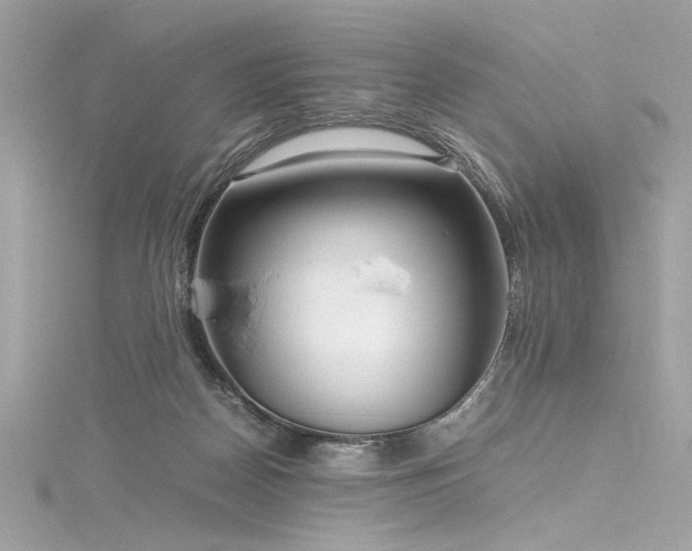 X0000116290170200911301426