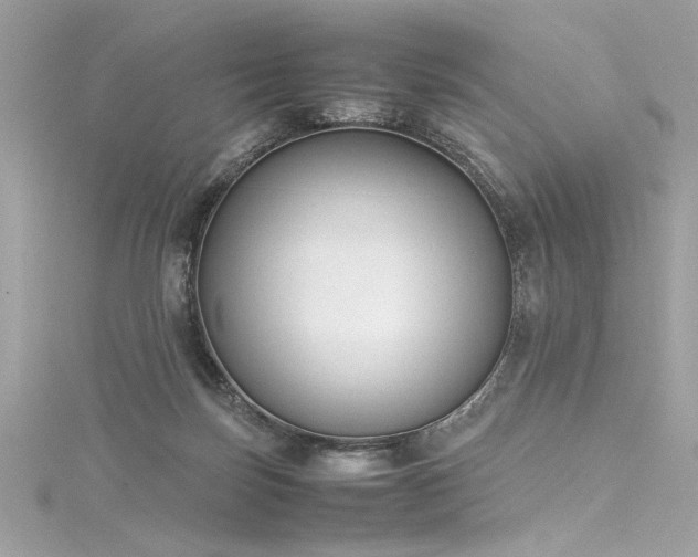 X0000116290171200911301426