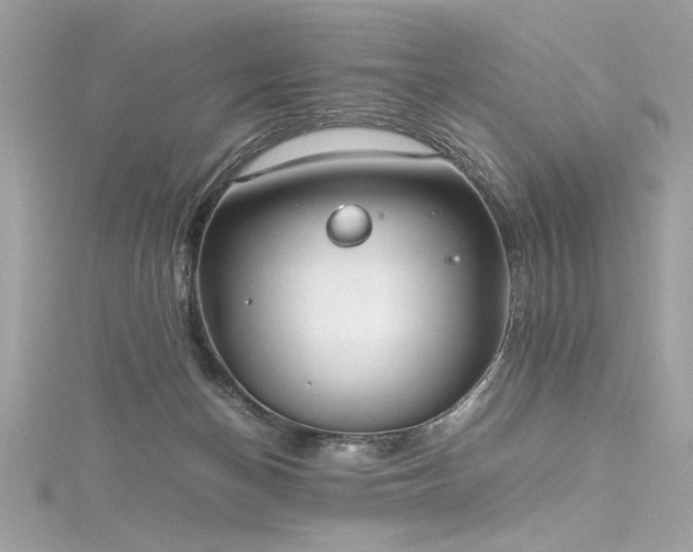 X0000116290174200911301426