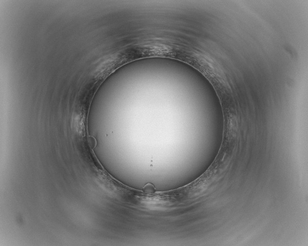 X0000116290177200911301426