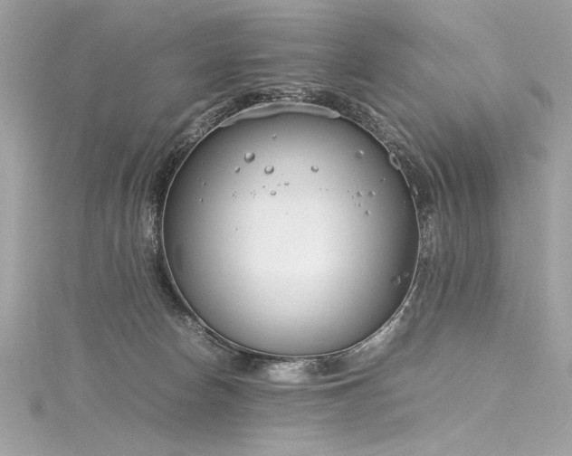 X0000116290178200911301426