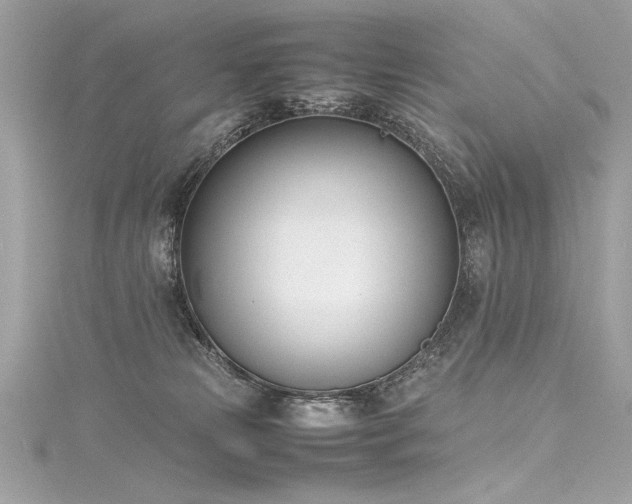 X0000116290181200911301426