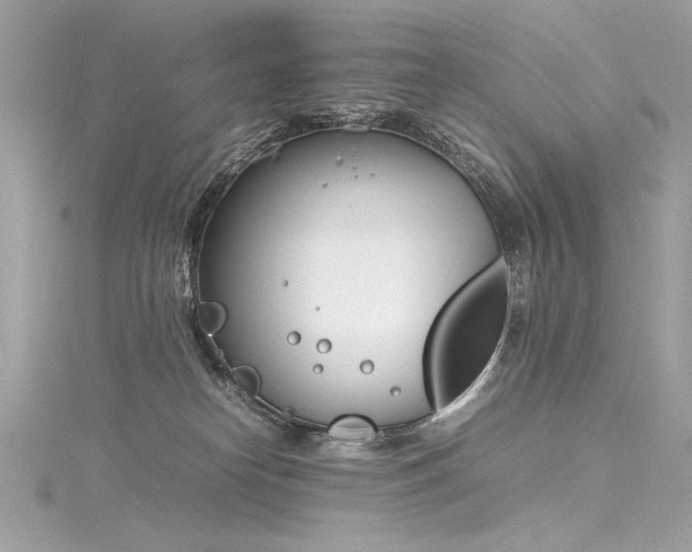 X0000116290182200911301426