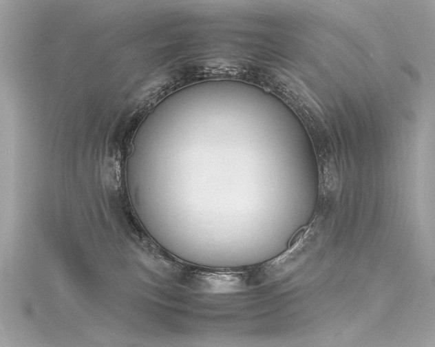 X0000116290183200911301426