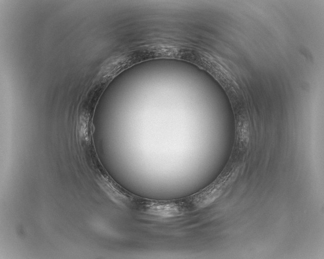 X0000116290185200911301426