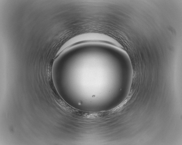 X0000116290186200911301426