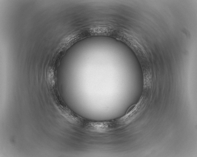 X0000116290187200911301426