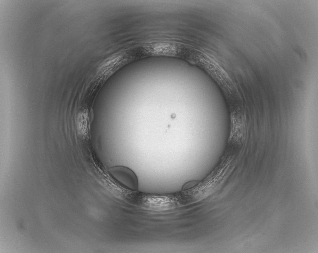 X0000116290189200911301426