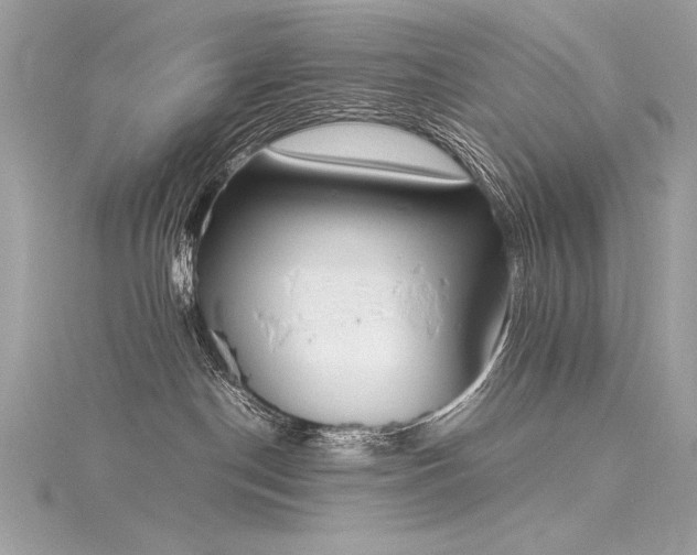 X0000116290190200911301426