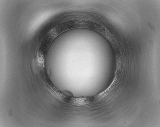 X0000116290191200911301426