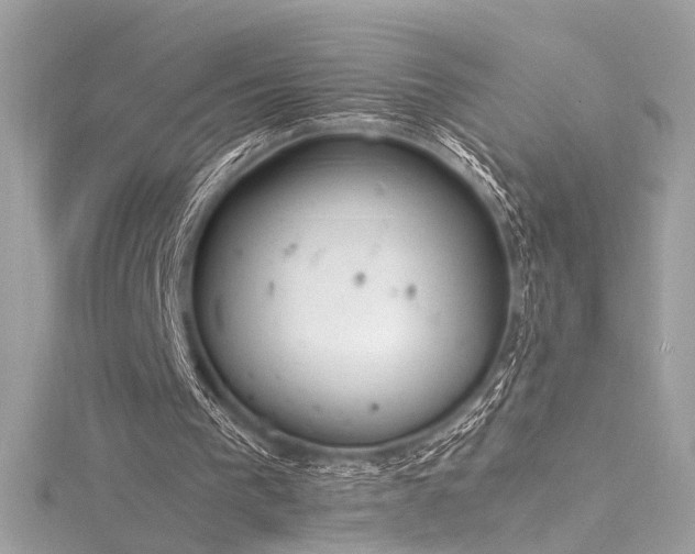 X0000116290193200911301426