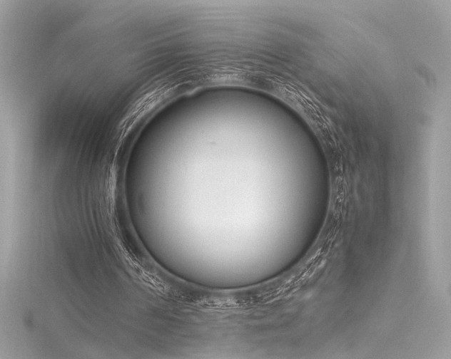 X0000116290194200911301426