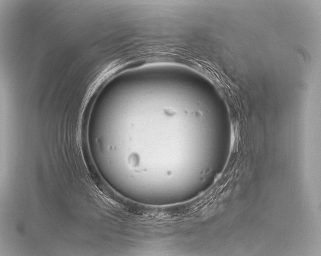 X0000116290195200911301426