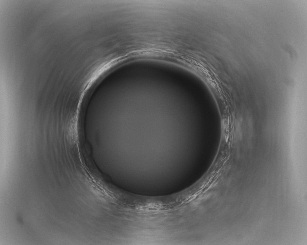 X0000116290196200911301426