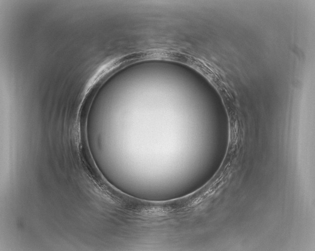 X0000116290198200911301426