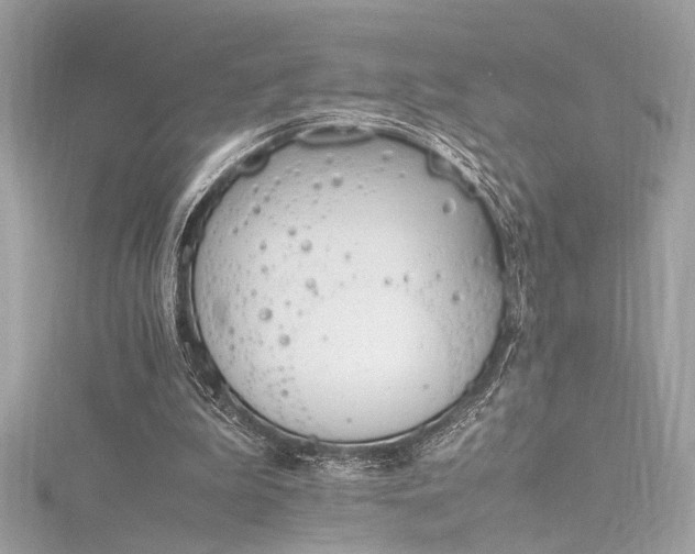 X0000116290199200911301426