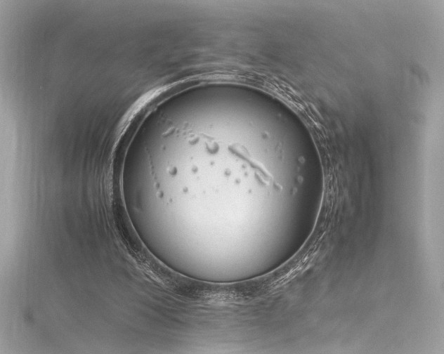 X0000116290200200911301426