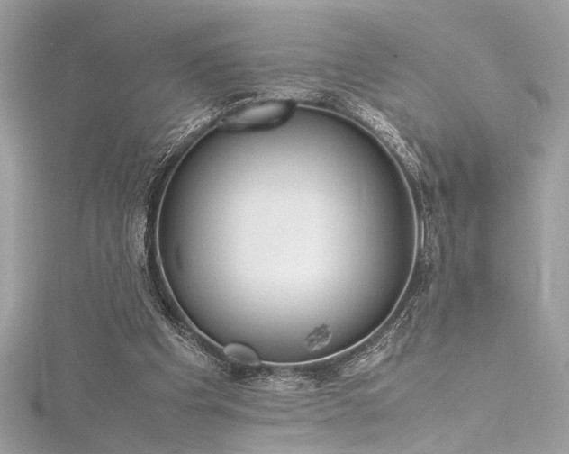 X0000116290201200911301426