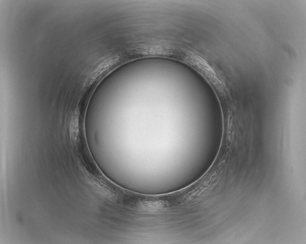 X0000116290202200911301426