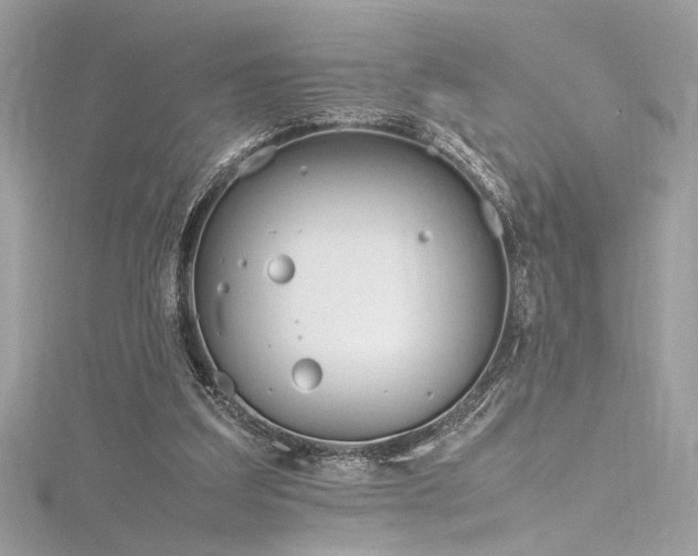 X0000116290203200911301426