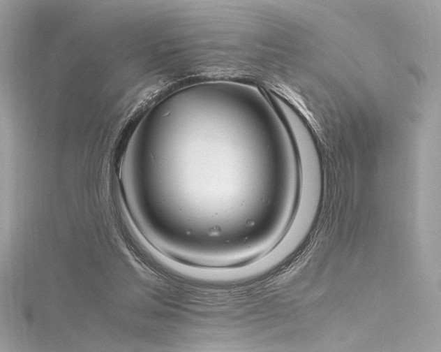 X0000116290205200911301426