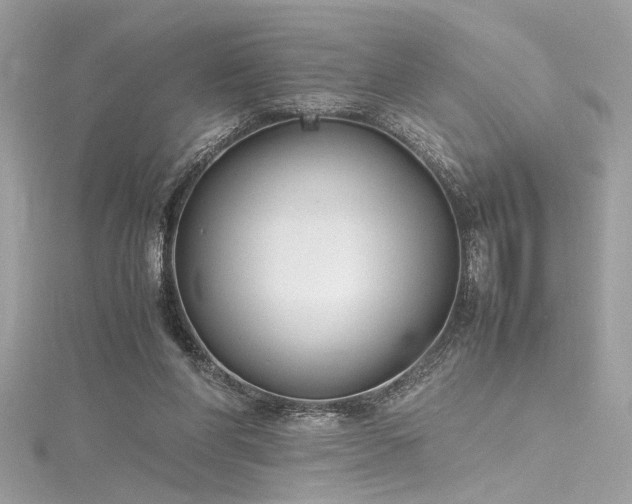 X0000116290206200911301426