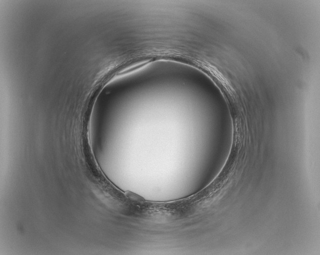 X0000116290207200911301426