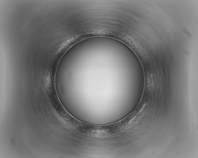 X0000116290208200911301426