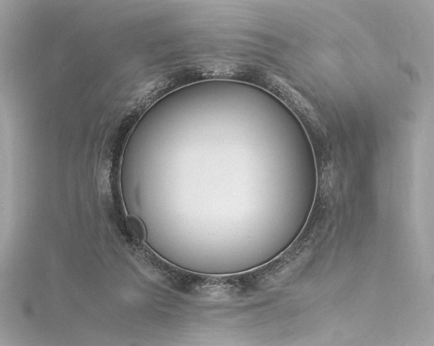 X0000116290209200911301426