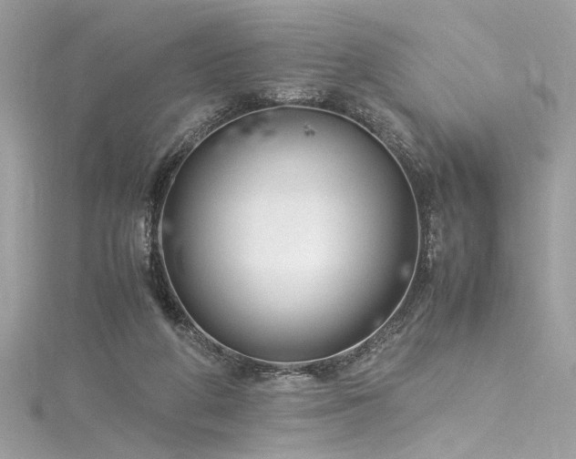 X0000116290210200911301426