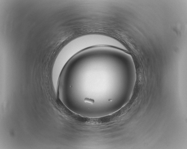 X0000116290211200911301426