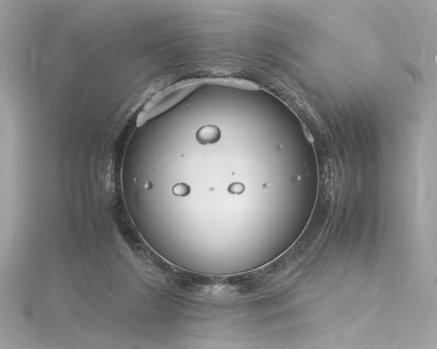 X0000116290212200911301426