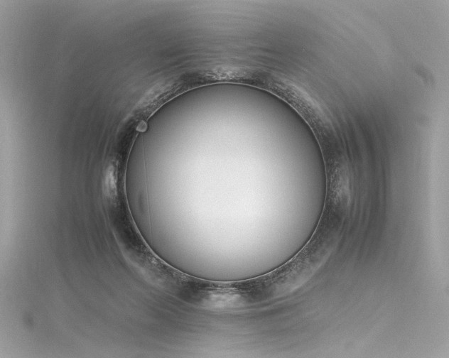 X0000116290214200911301426