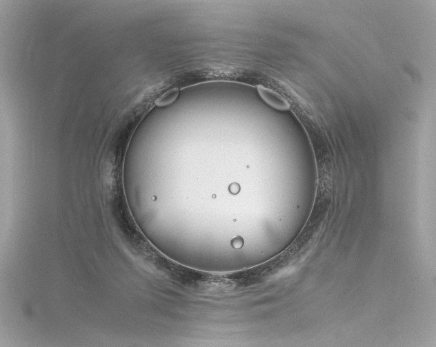 X0000116290215200911301426