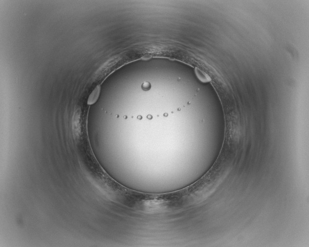 X0000116290216200911301426