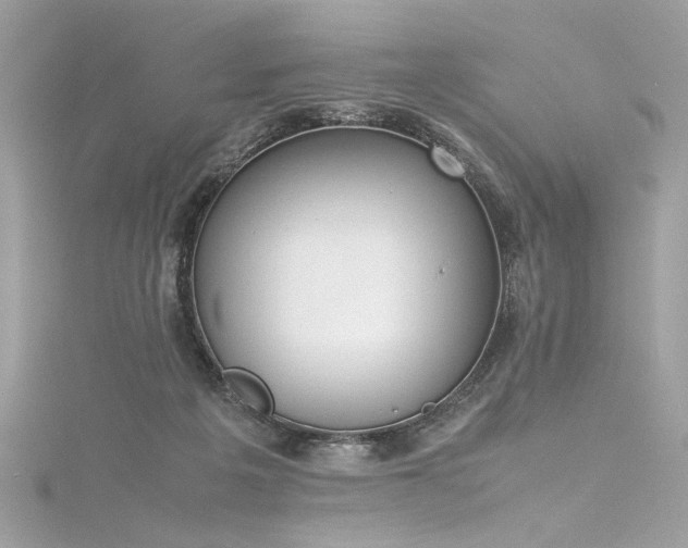 X0000116290217200911301426