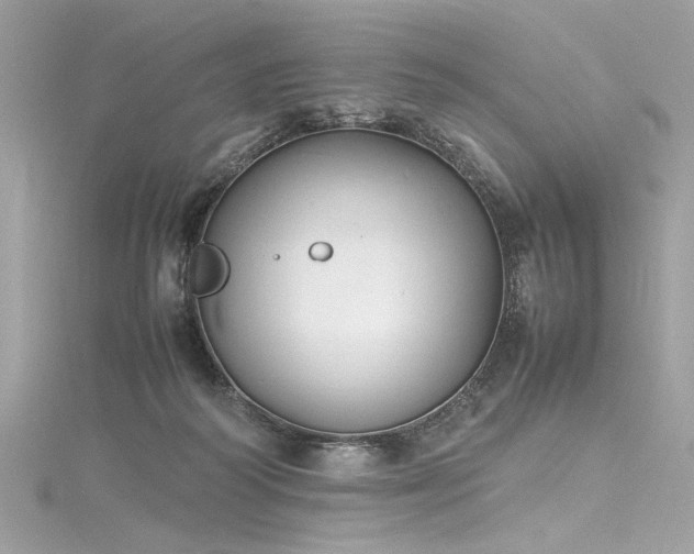 X0000116290218200911301426