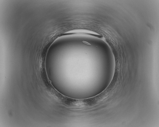 X0000116290219200911301426