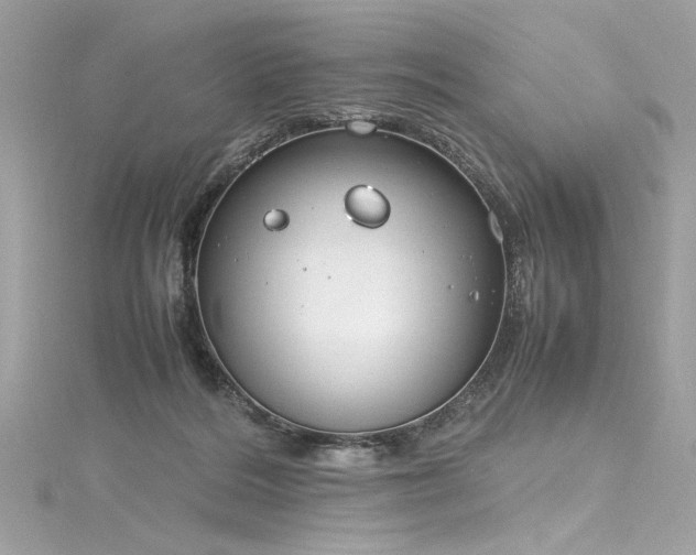 X0000116290220200911301425