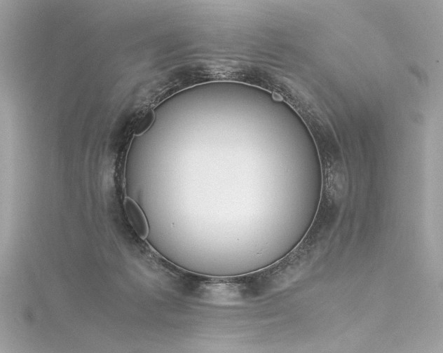 X0000116290221200911301425