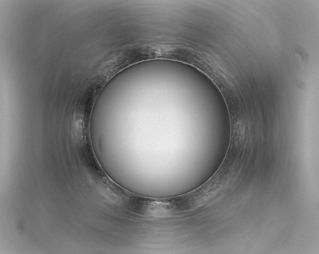 X0000116290222200911301425