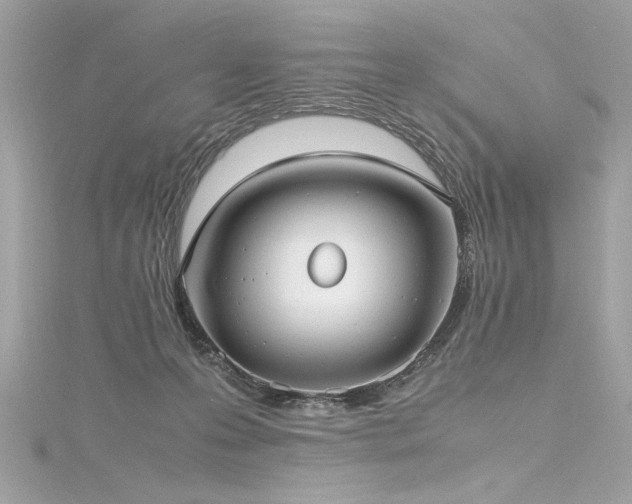 X0000116290223200911301425