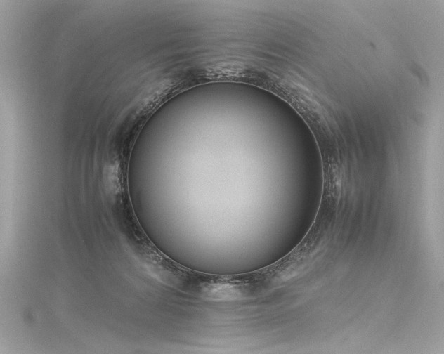 X0000116290224200911301425